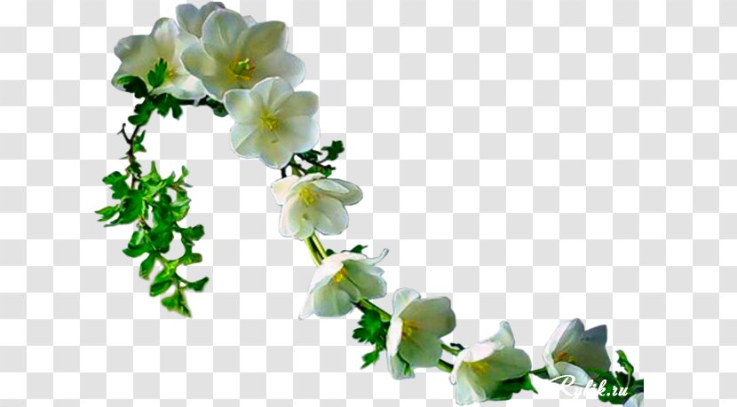 Flower Ppt Clip Art - Photography - Leaf Transparent PNG
