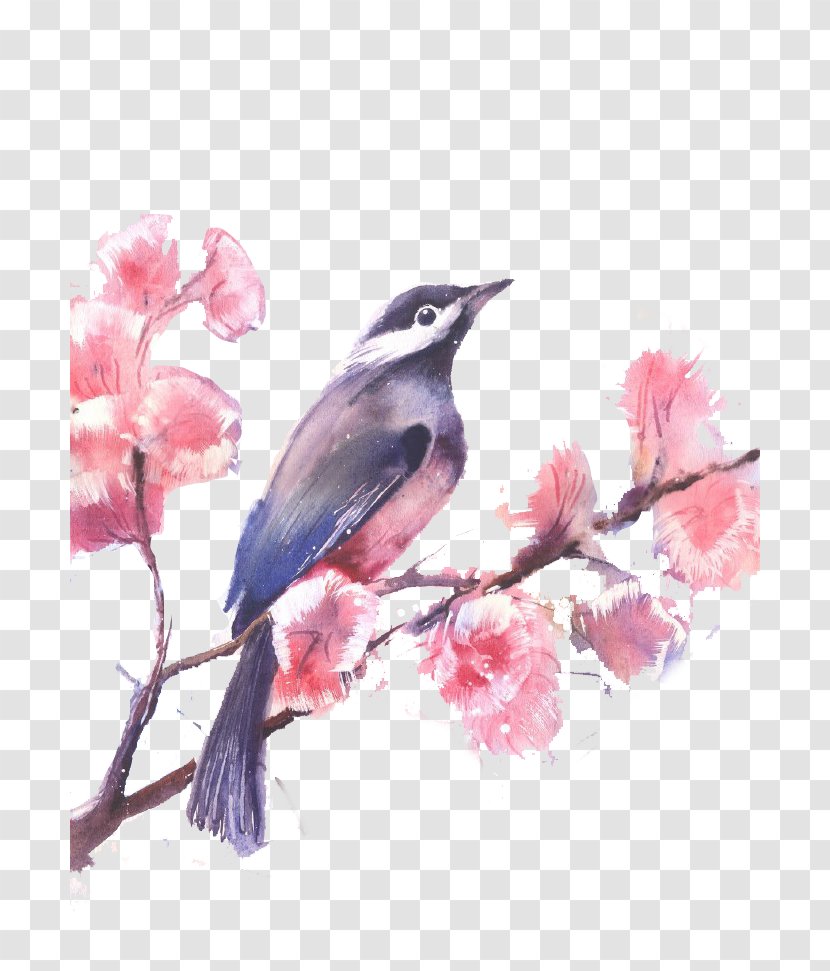 Watercolor Painted Birds And Flowers - Art - Photography Transparent PNG