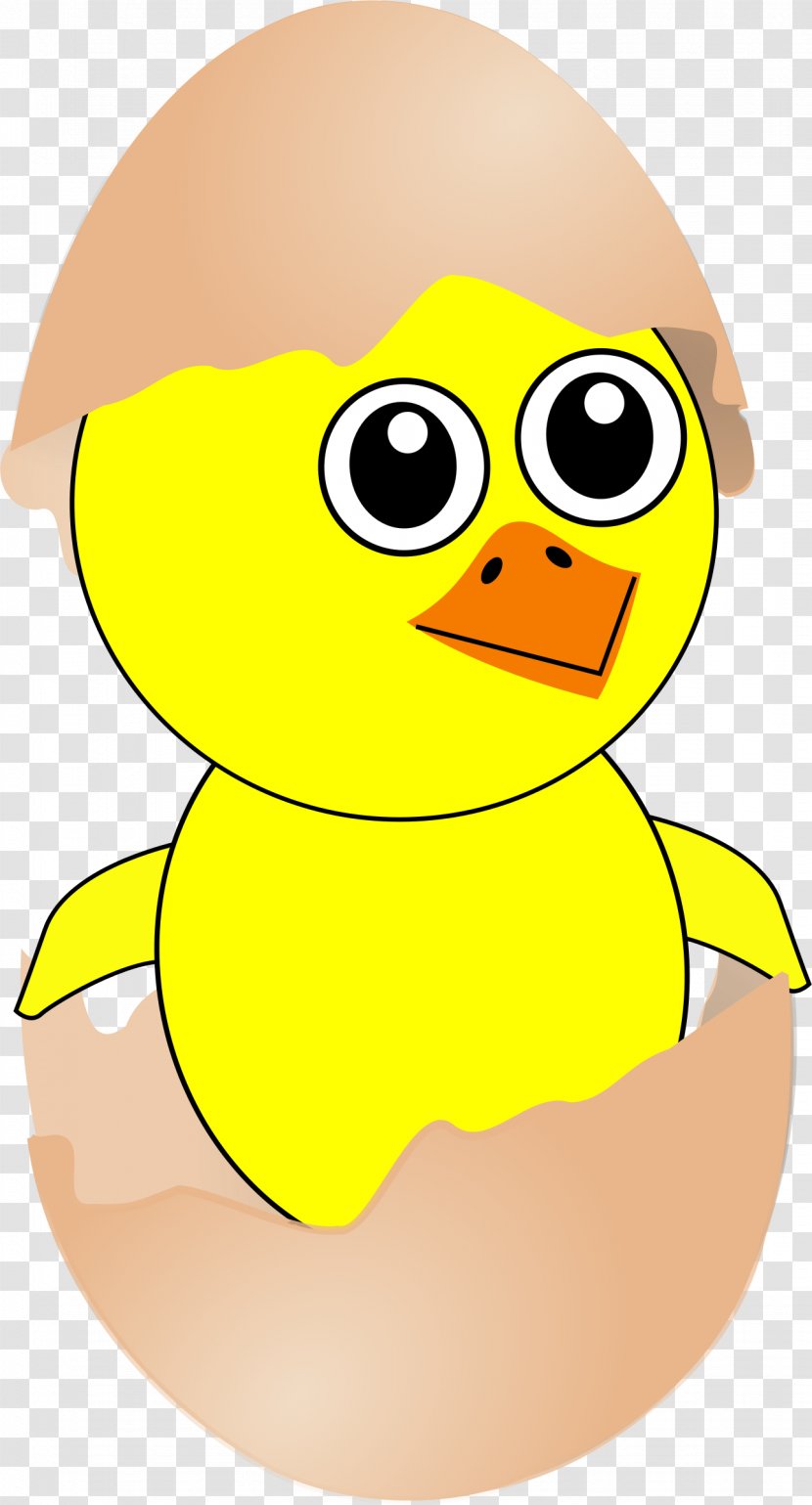 Chicken Egg Cartoon Drawing - Duck - Chick Cliparts Transparent PNG