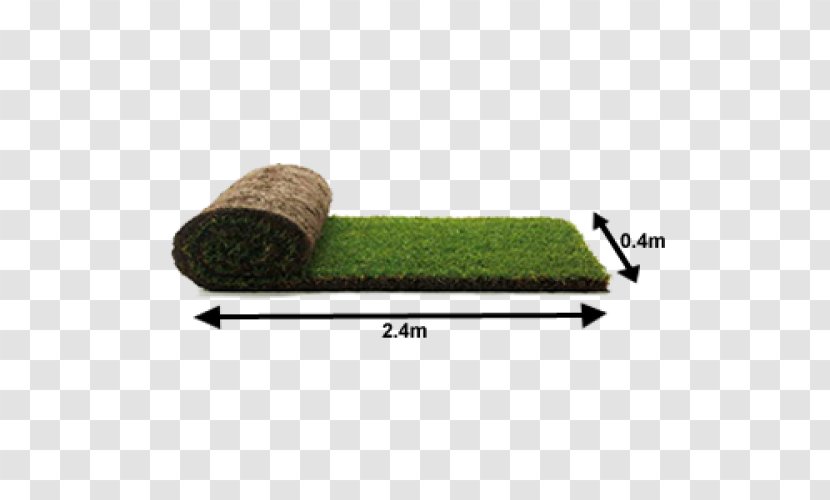 Angle Plant - Grass - Turf Transparent PNG