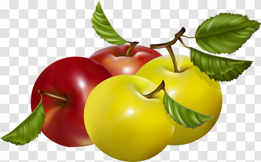 Barbados Cherry Apple Vector Graphics Fruit Vegetarian Cuisine - Tomato Transparent PNG