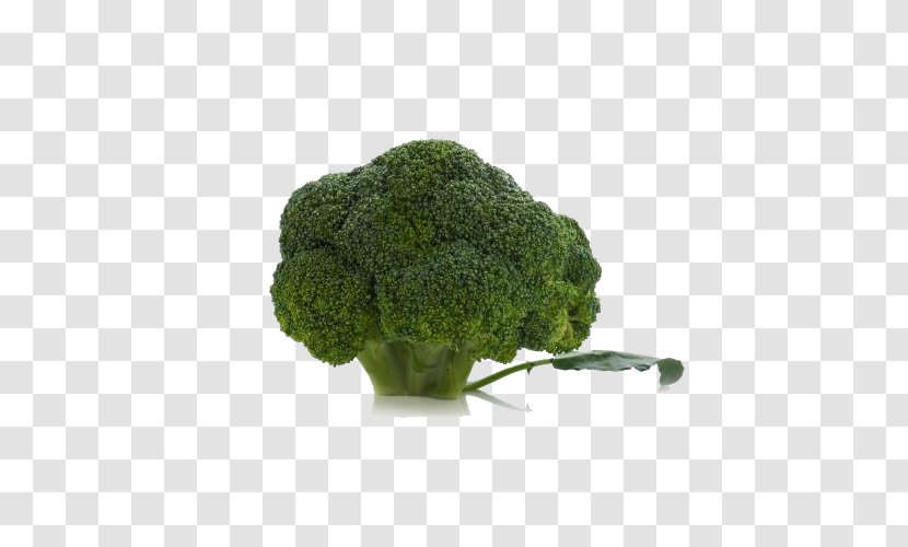 Broccoli Cauliflower Vegetable U7dd1u9ec4u8272u91ceu83dc - Green Vegetables Transparent PNG