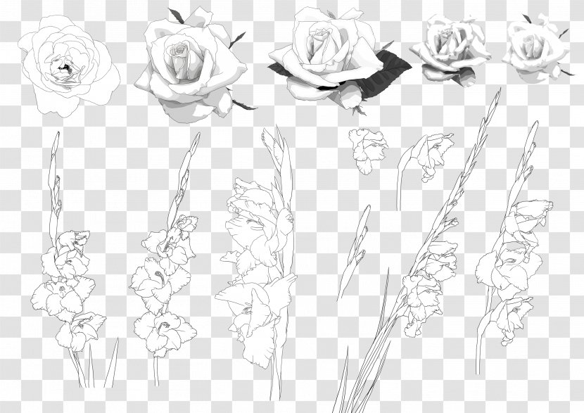 Orchids Floral Design Image - Rose Family - Vector Plant Transparent PNG
