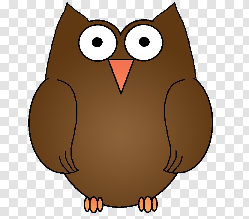 Brown Hawk-owl Barn Owl Drawing Clip Art - Bird - Owls Transparent PNG