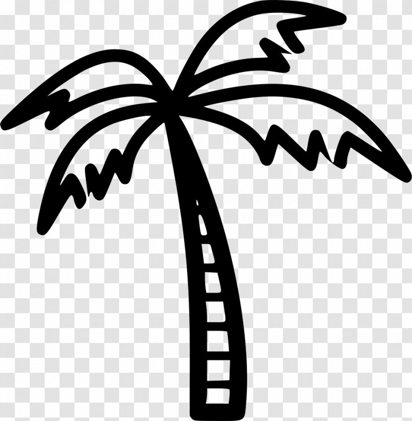 Coconut Tree Clip Art - Black And White Transparent PNG