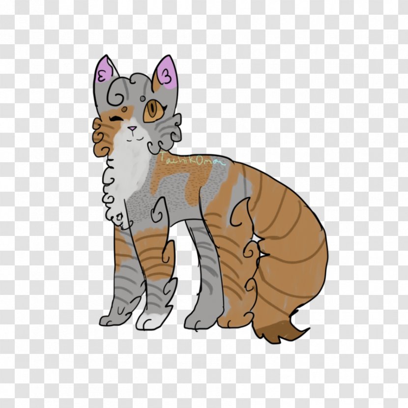 Whiskers Kitten Tabby Cat Wildcat - Dog Like Mammal Transparent PNG