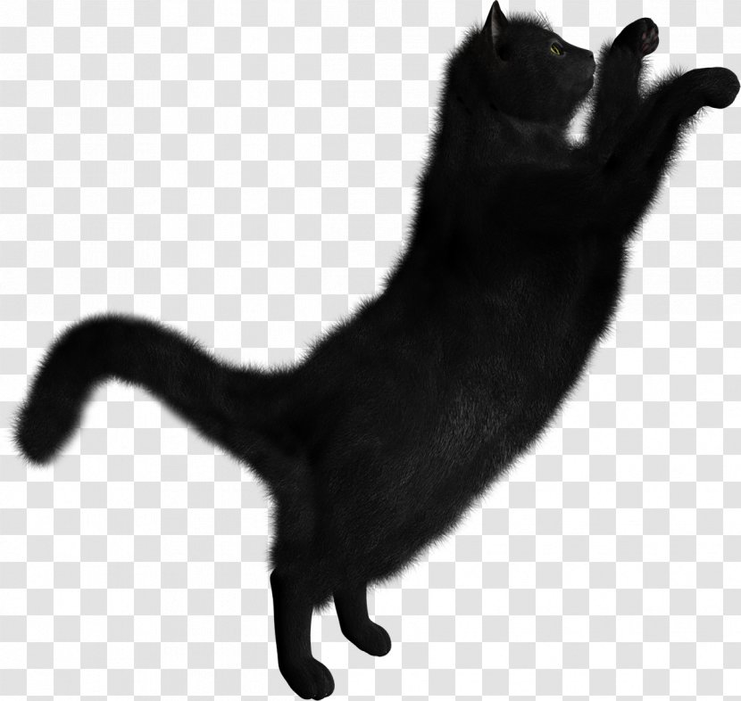 Clip Art Transparency Kitten Black Cat - Domestic Shorthaired Transparent PNG