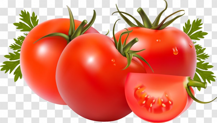 Tomato Soup Juice Roma Can - Vegetable Transparent PNG