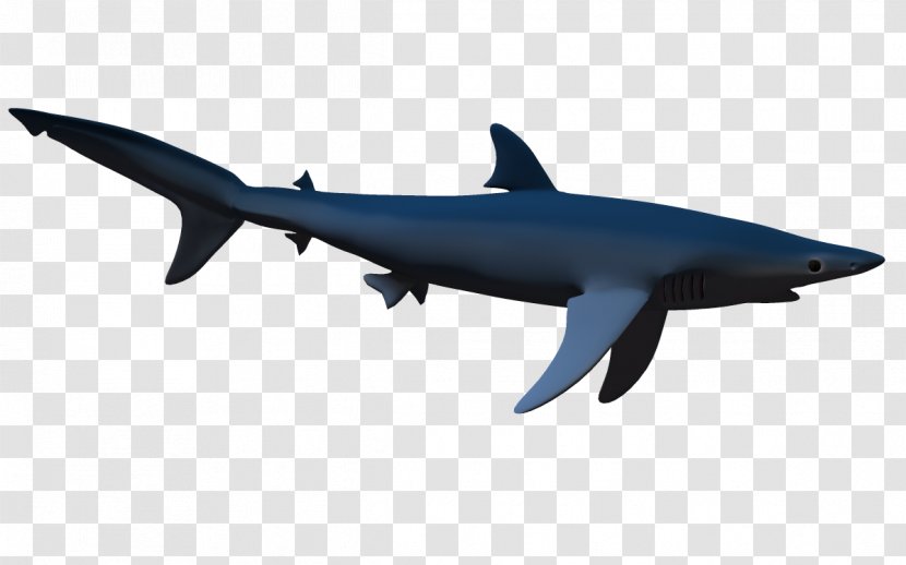 Shark & Dolphin 3D Computer Graphics Clip Art - Marine Mammal - 3d Cartoon Transparent PNG