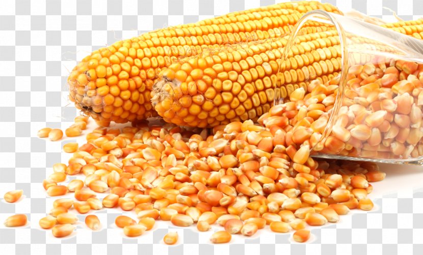 Stock Photography Popcorn Maize Grain - Superfood Transparent PNG