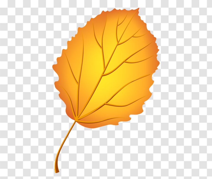 Autumn Leaf Color European Aspen Tree - Bark Transparent PNG
