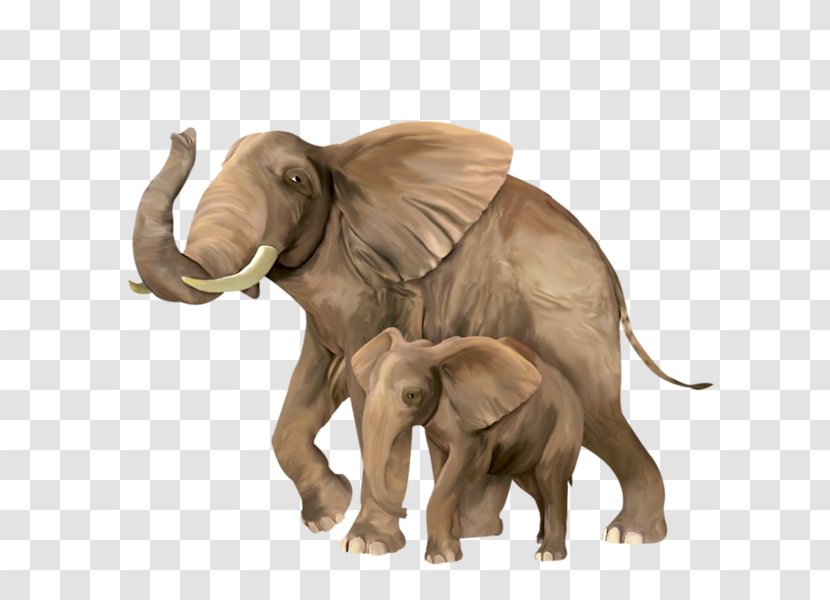 Indian Elephant Clip Art Vector Graphics - Wildlife Transparent PNG