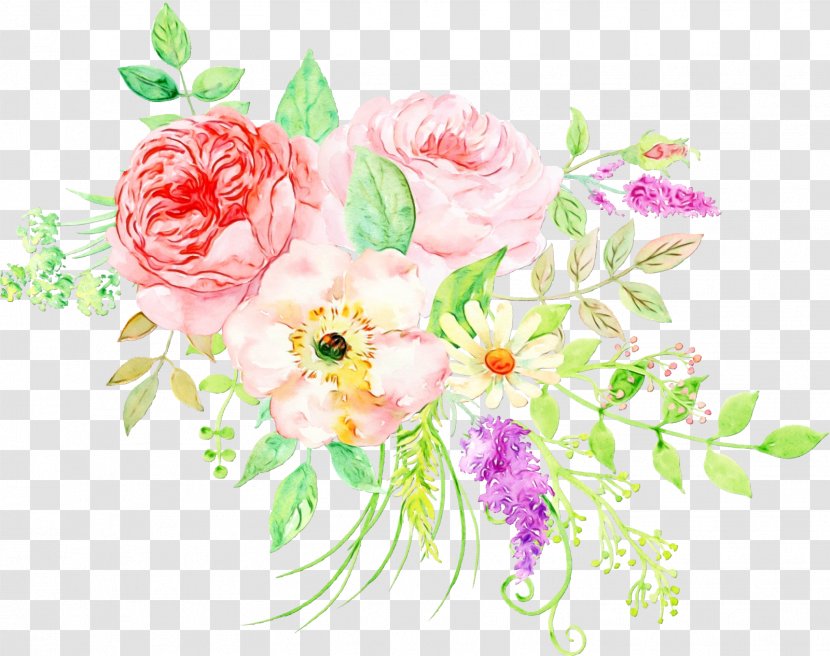 Watercolor Painting Drawing Peony Design - Flower - Floristry Transparent PNG