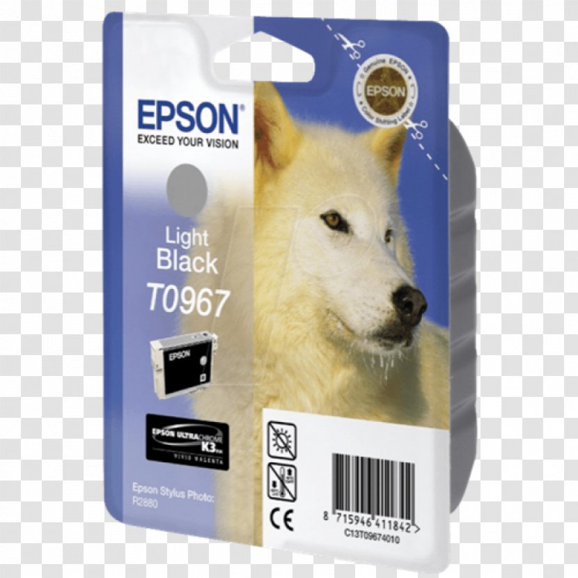 Paper Ink Cartridge Epson Print Ink-jet Consumables And Kits - Printing - Printer Transparent PNG