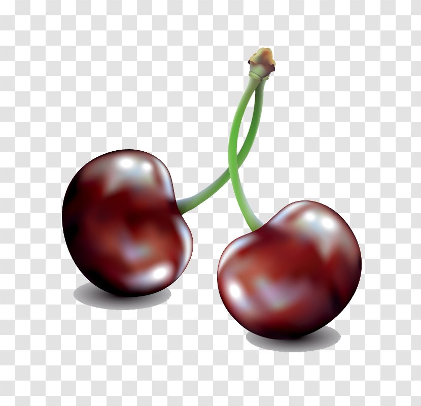 Cherry Drawing Illustration - Vector Hand-painted Crystal Transparent PNG