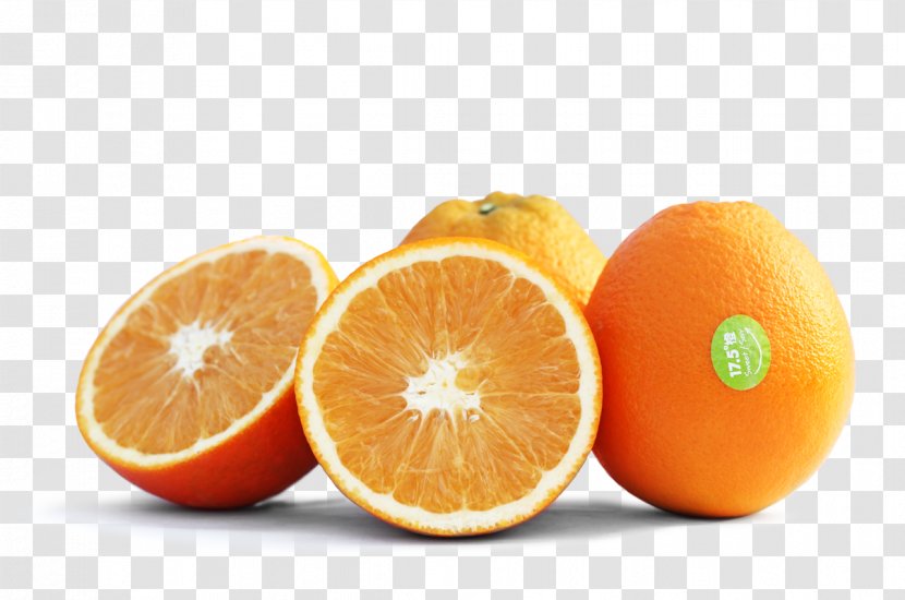 Orange Juice Bitter Food - Diet - Fruit Juices Transparent PNG