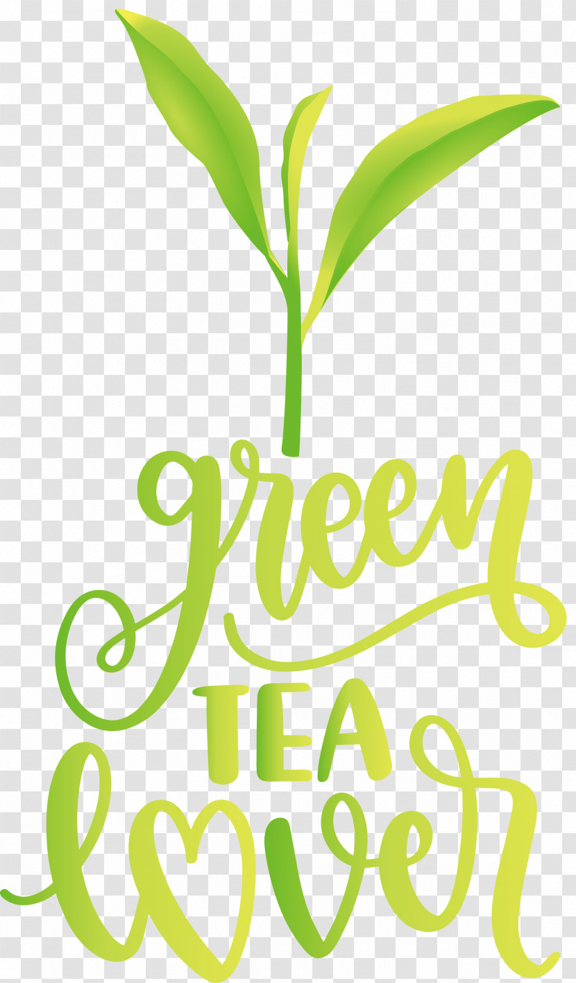 Green Tea Lover Tea Transparent PNG