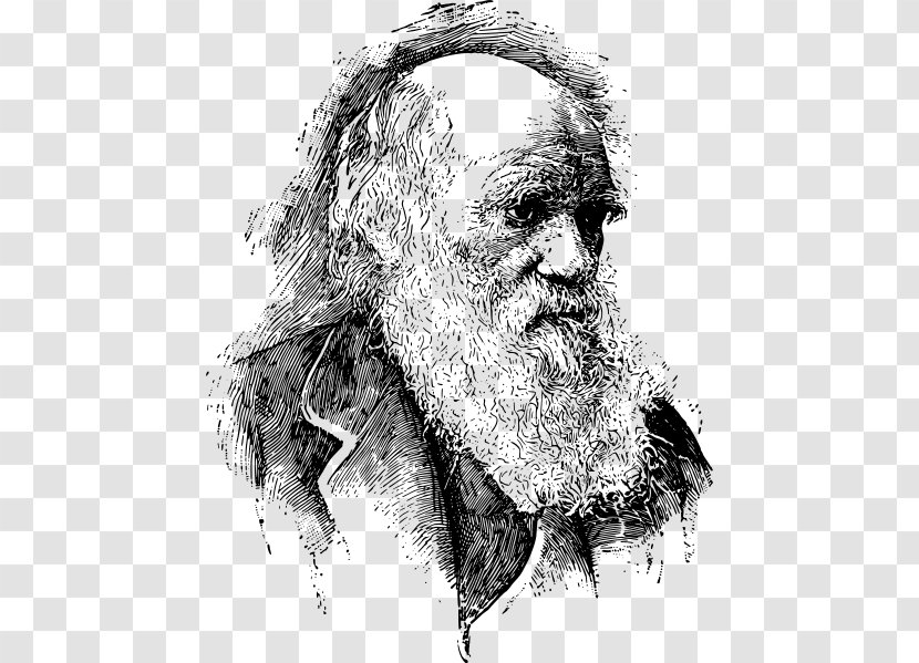 On The Origin Of Species Evolutionary Medicine Psychology Biology - Charles Darwin Transparent PNG