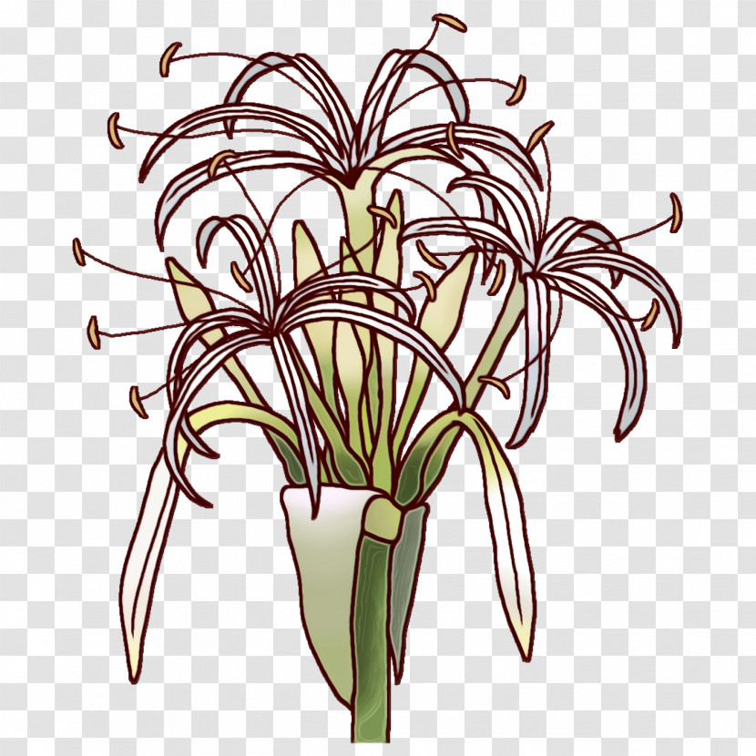 Floral Design Transparent PNG