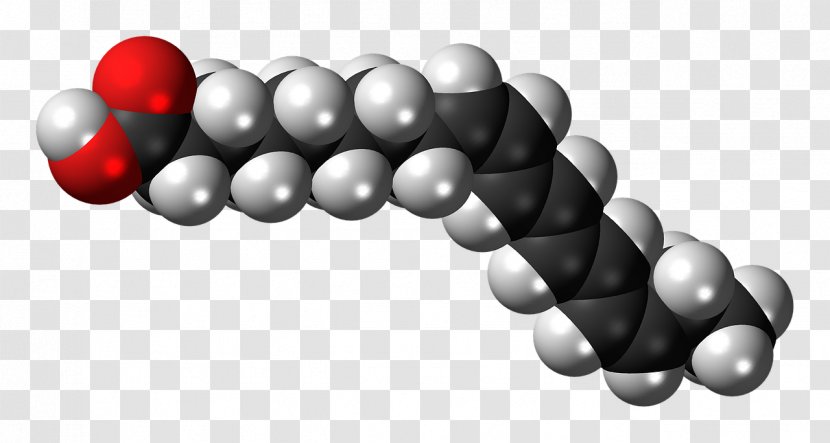 Alpha-Linolenic Acid Fatty Stearic - Docosahexaenoic - DNA-molecule Transparent PNG