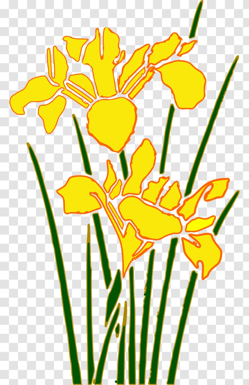 Iris Download Desktop Wallpaper Clip Art - Flower - Daffodils Transparent PNG