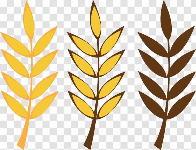 Cartoon Wheat Royalty-free Oat - Grains Of Transparent PNG