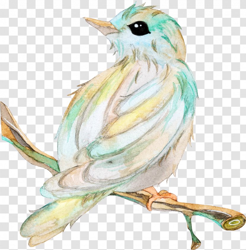 Bird Owl Beak Clip Art - Software - Branches Transparent PNG