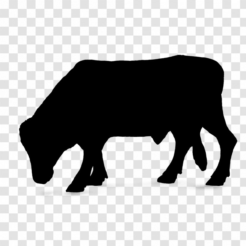 Cattle Silhouette Font Snout Black M - Bovine - Wildlife Transparent PNG