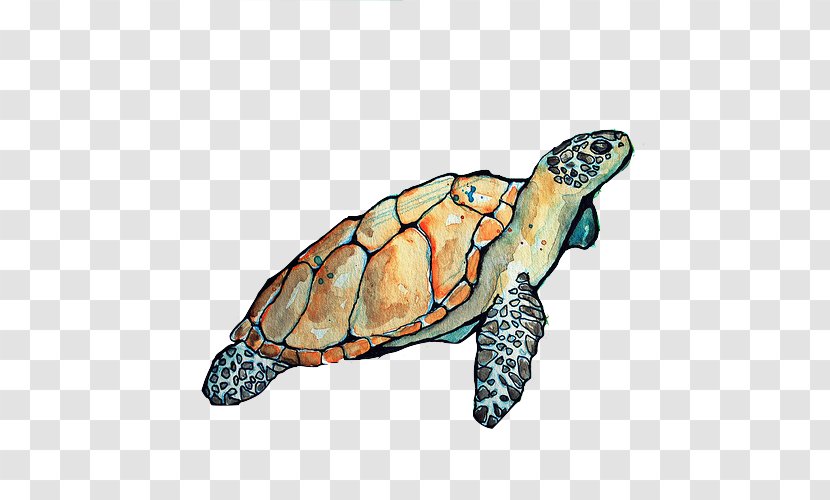 Loggerhead Sea Turtle Box Turtles Tortoise - Reptile - Clipart Transparent PNG