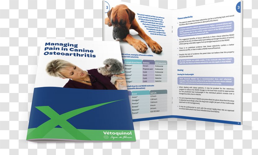 Dog Text MZ Brochure Transparent PNG