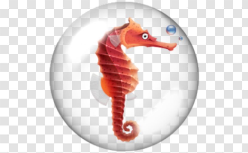 Seahorse - Drawing Transparent PNG