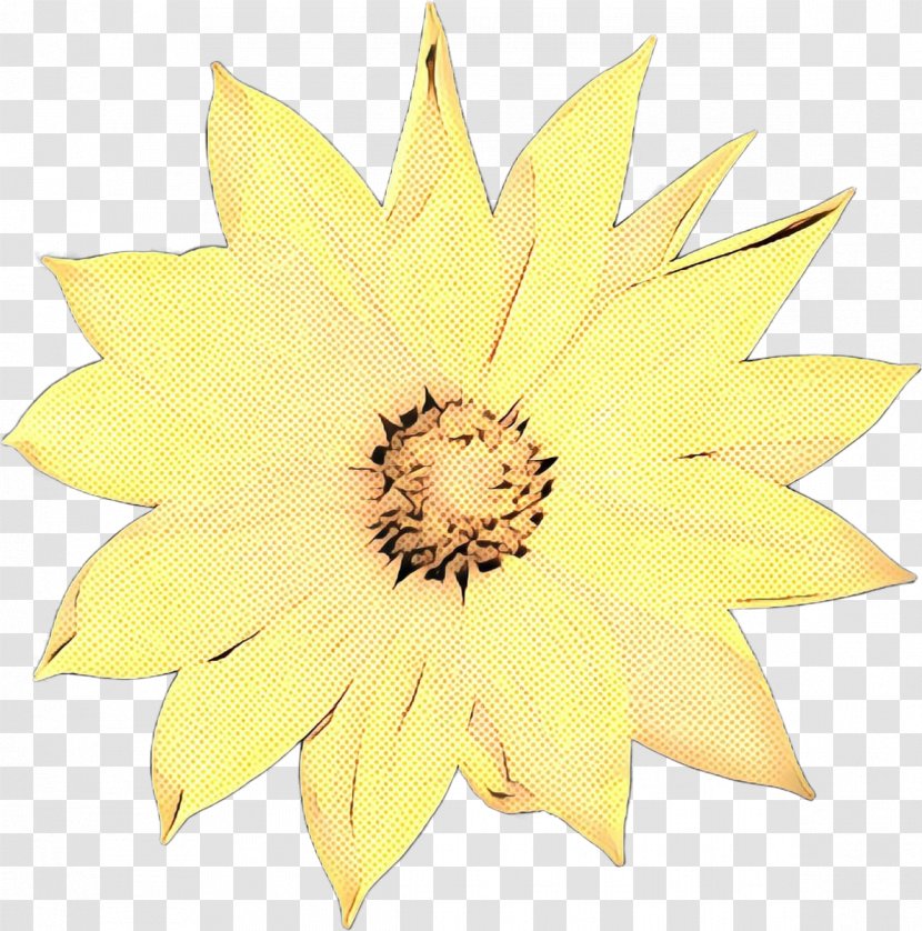 Common Sunflower Seed Cut Flowers Yellow Petal - Flower Transparent PNG