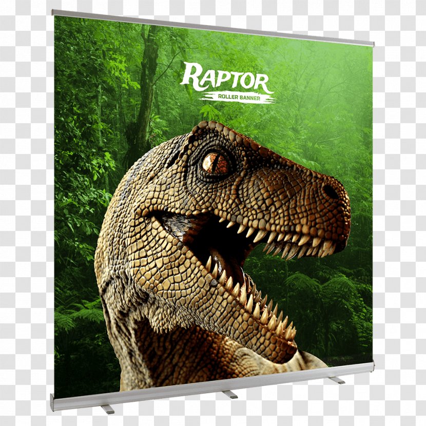 Город динозавров FictionBook - Fictionbook - Velociraptor Transparent PNG
