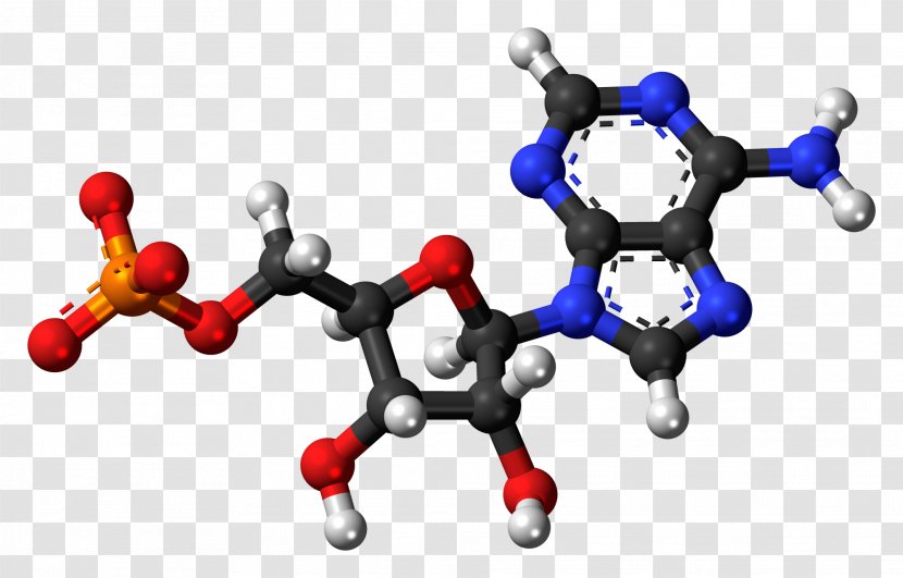 Adenosine Monophosphate Triphosphate Molecule Uridine - Silhouette - Guanosine Transparent PNG