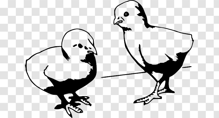 Clip Art Chicken Openclipart Drawing - Galliformes - Black And White Cartoon Baby Transparent PNG
