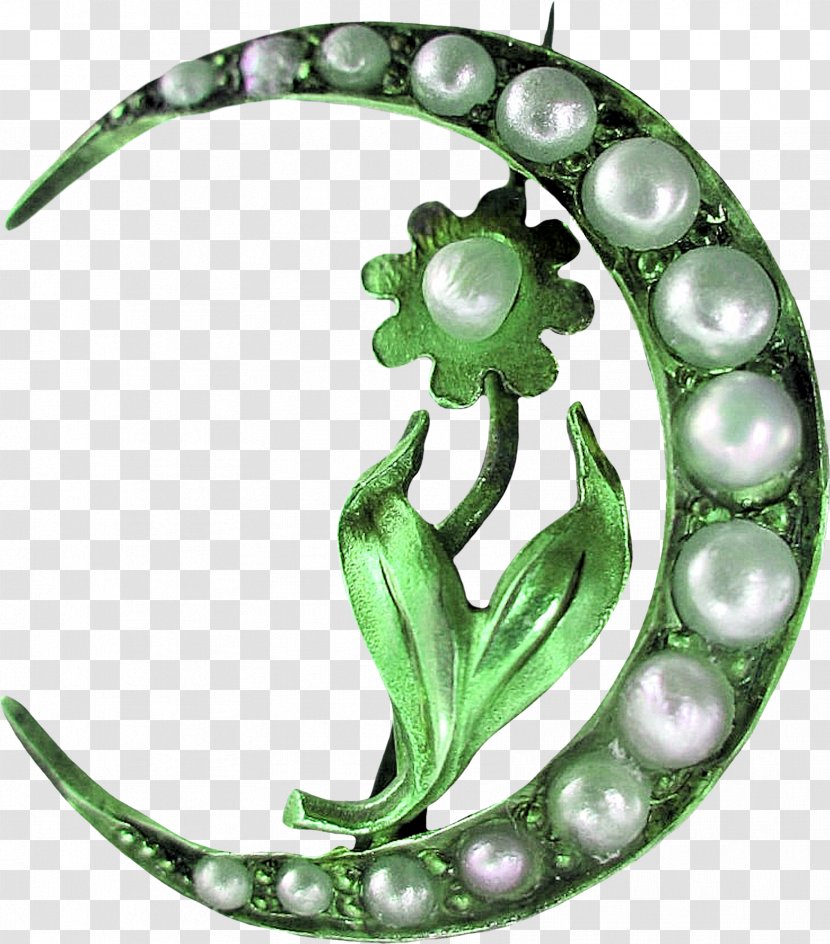 Animation Blog - Green - Vintage Decorative Ornament Transparent PNG