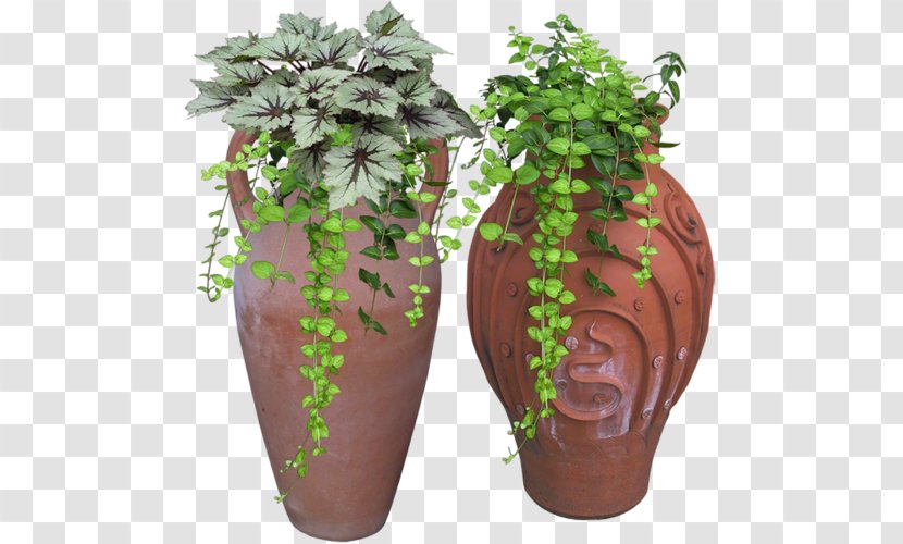 Flowerpot Plant - Flower Transparent PNG