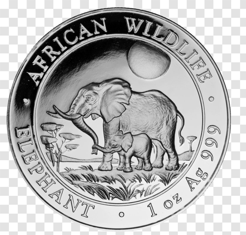 Indian Elephant Silver Coin African Elephantidae Transparent PNG