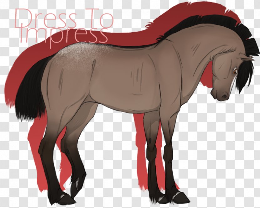 Stallion Foal Mustang Mare Colt - Mane - Ms. Dress Transparent PNG