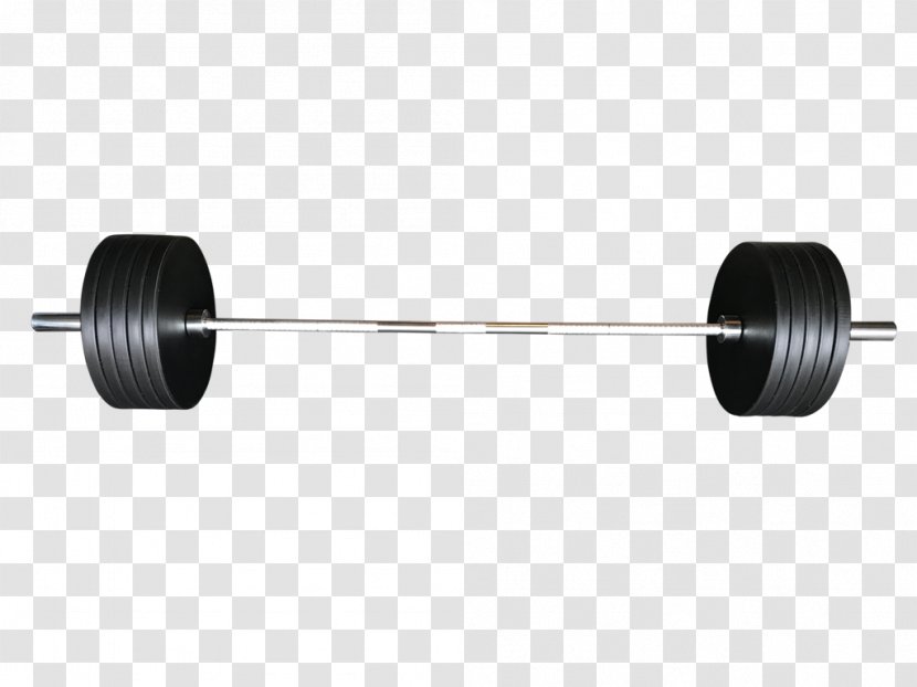 Barbell Weight Training Dumbbell Plate Bench - Physical Exercise Transparent PNG