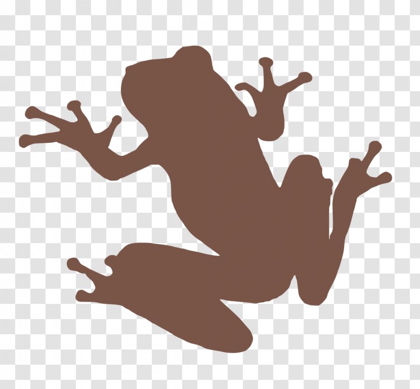 Pond Cartoon - Amphibians - Silhouette Tree Frog Transparent PNG