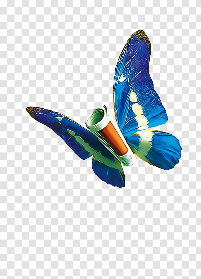 Butterfly - Invertebrate - Feather Transparent PNG