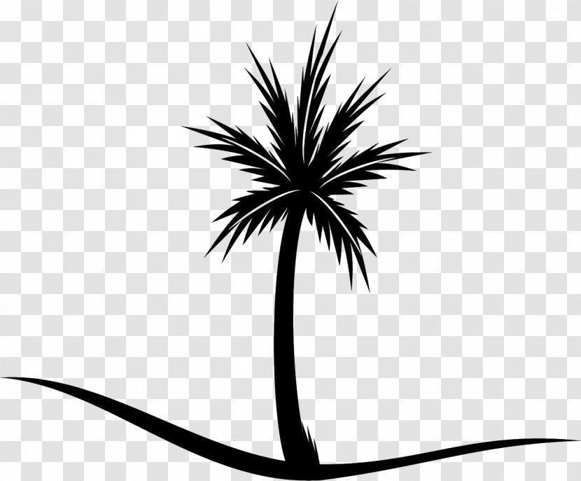 Asian Palmyra Palm Clip Art Trees Coconut - Woody Plant - Tree Transparent PNG