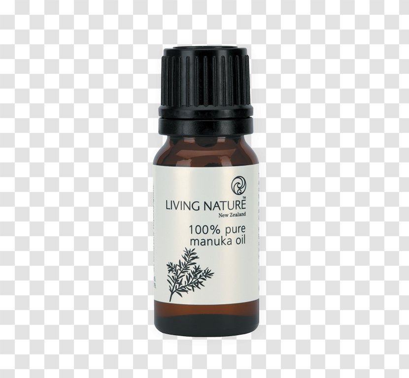 Manuka Mānuka Honey Lavender Oil Nature - Tea Trees - Water Drop Skin Care Transparent PNG