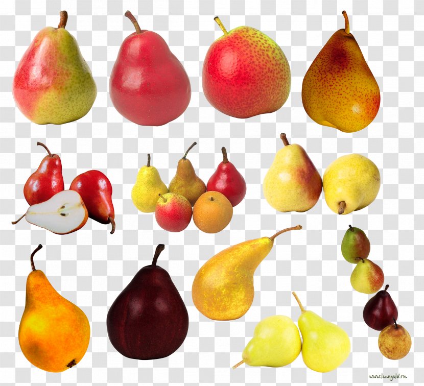 European Pear Fruit Clip Art - Accessory - Pears Clipart Image Transparent PNG