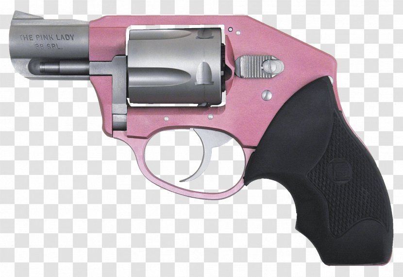 Firearm Charter Arms Revolver .38 Special Handgun - Guns Ammo Transparent PNG