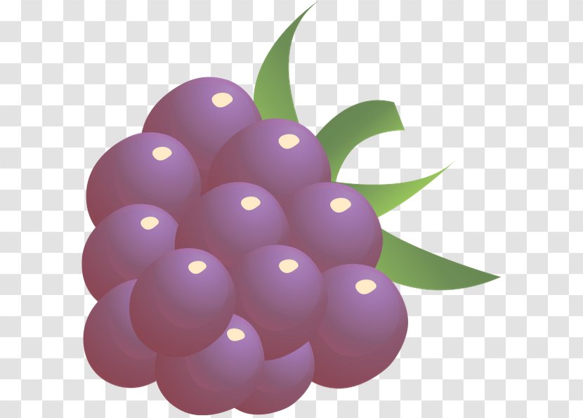 Grape Juice Cocktail Carbonated Drink Beverages - Cartoon Transparent PNG