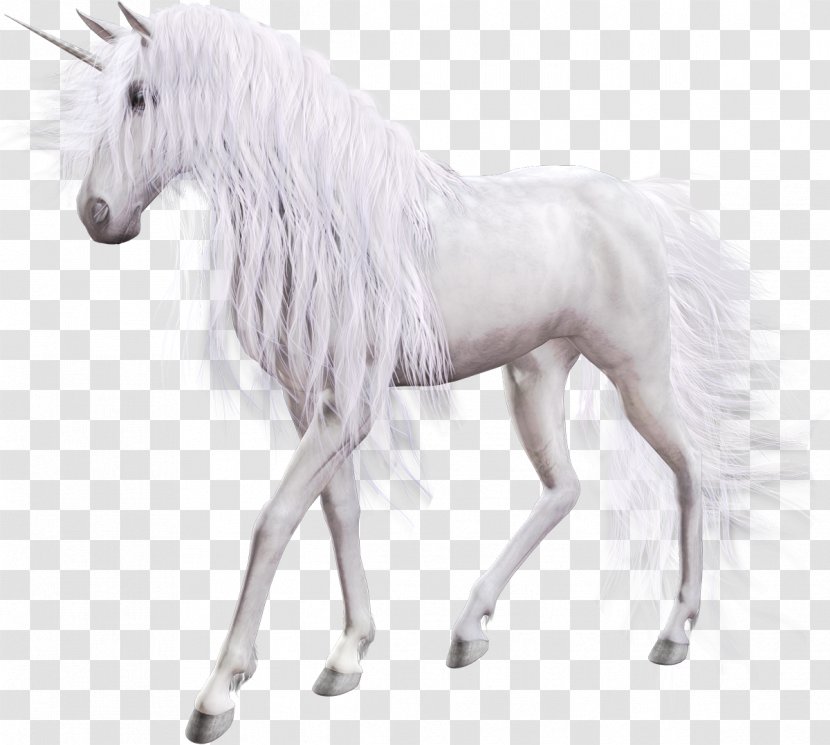 The Black Unicorn Horse Pegasus Clip Art Transparent PNG