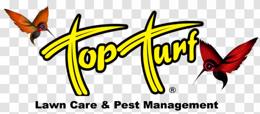 Top Turf Lawn Care And Pest Management - Membrane Winged Insect - Georgia Butterfly SodButterfly Transparent PNG