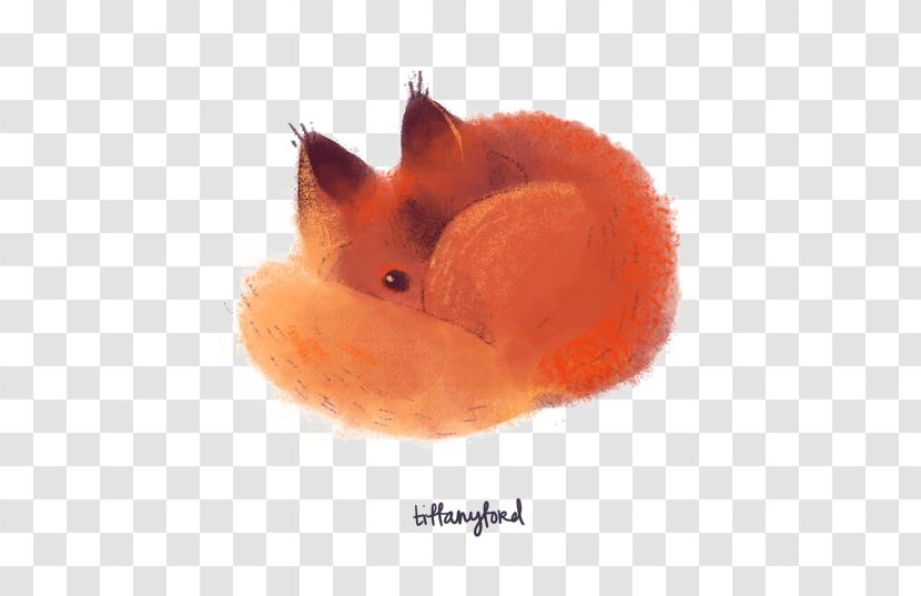 Red Fox Cat Drawing - Carnivoran Transparent PNG